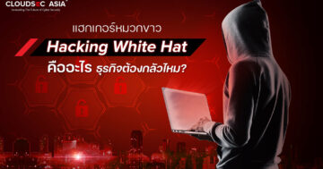 White hat hacker